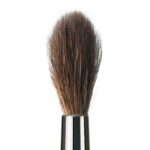 Dust brush module